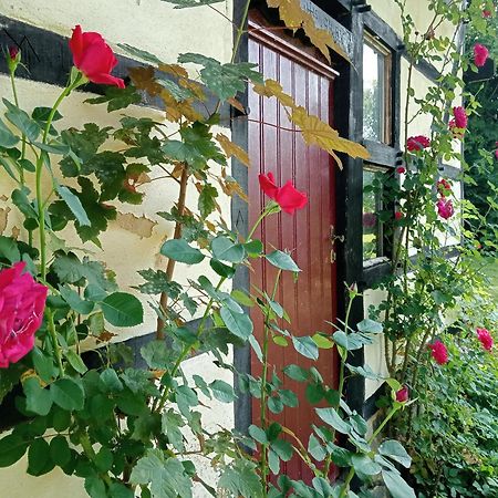 Bnb Het Geluk Van Limburg 메헬렌 외부 사진
