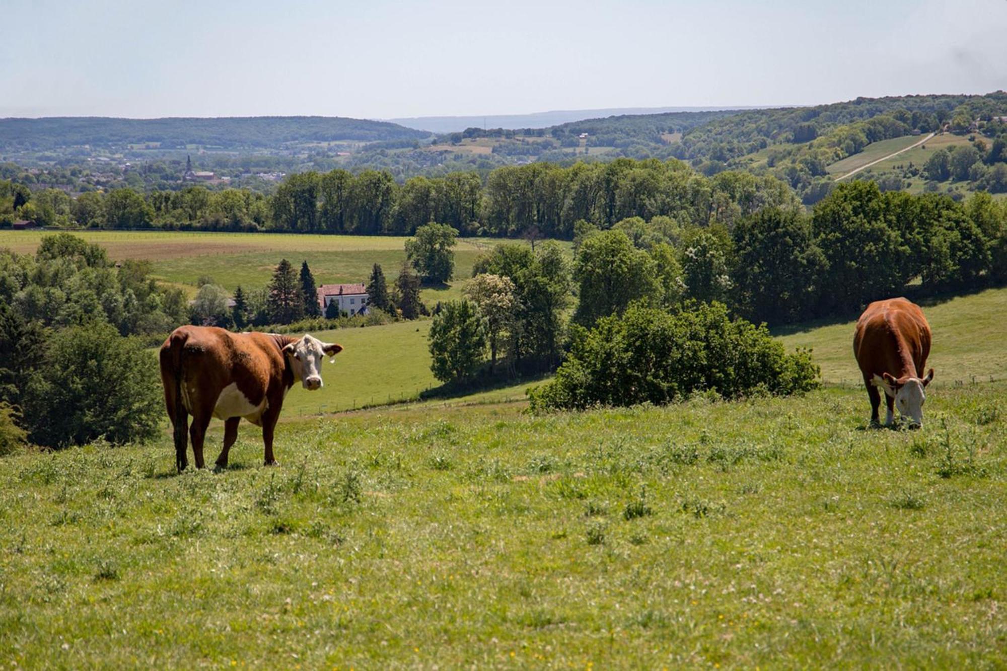 Bnb Het Geluk Van Limburg 메헬렌 외부 사진