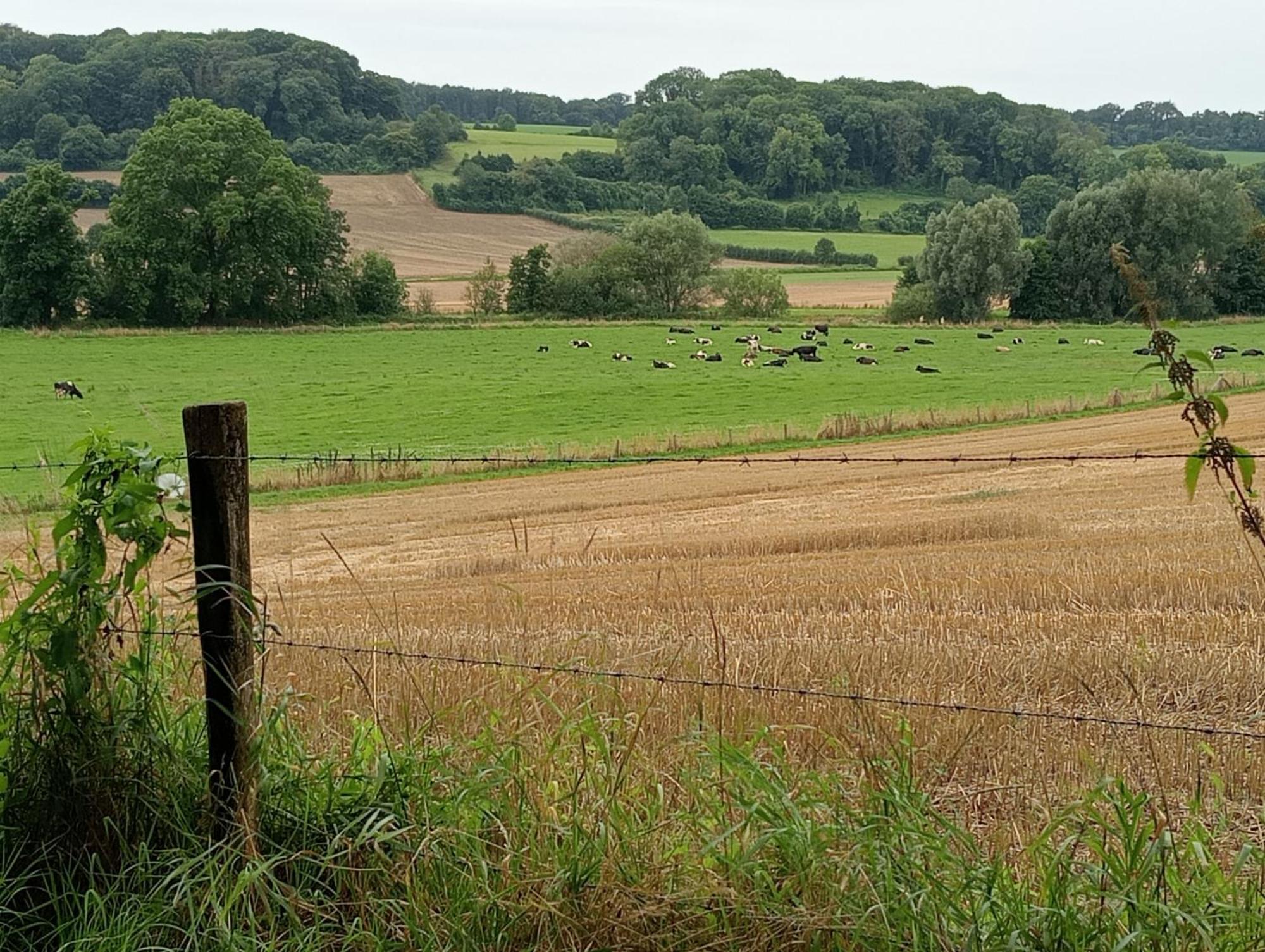 Bnb Het Geluk Van Limburg 메헬렌 외부 사진
