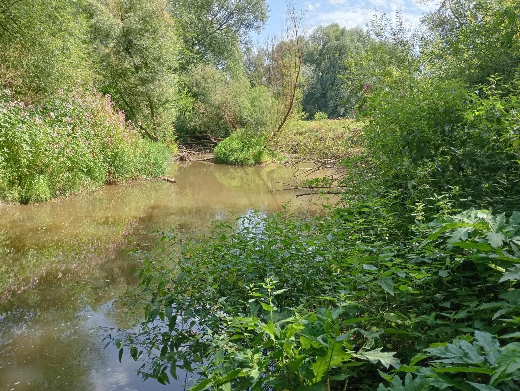 Bnb Het Geluk Van Limburg 메헬렌 외부 사진