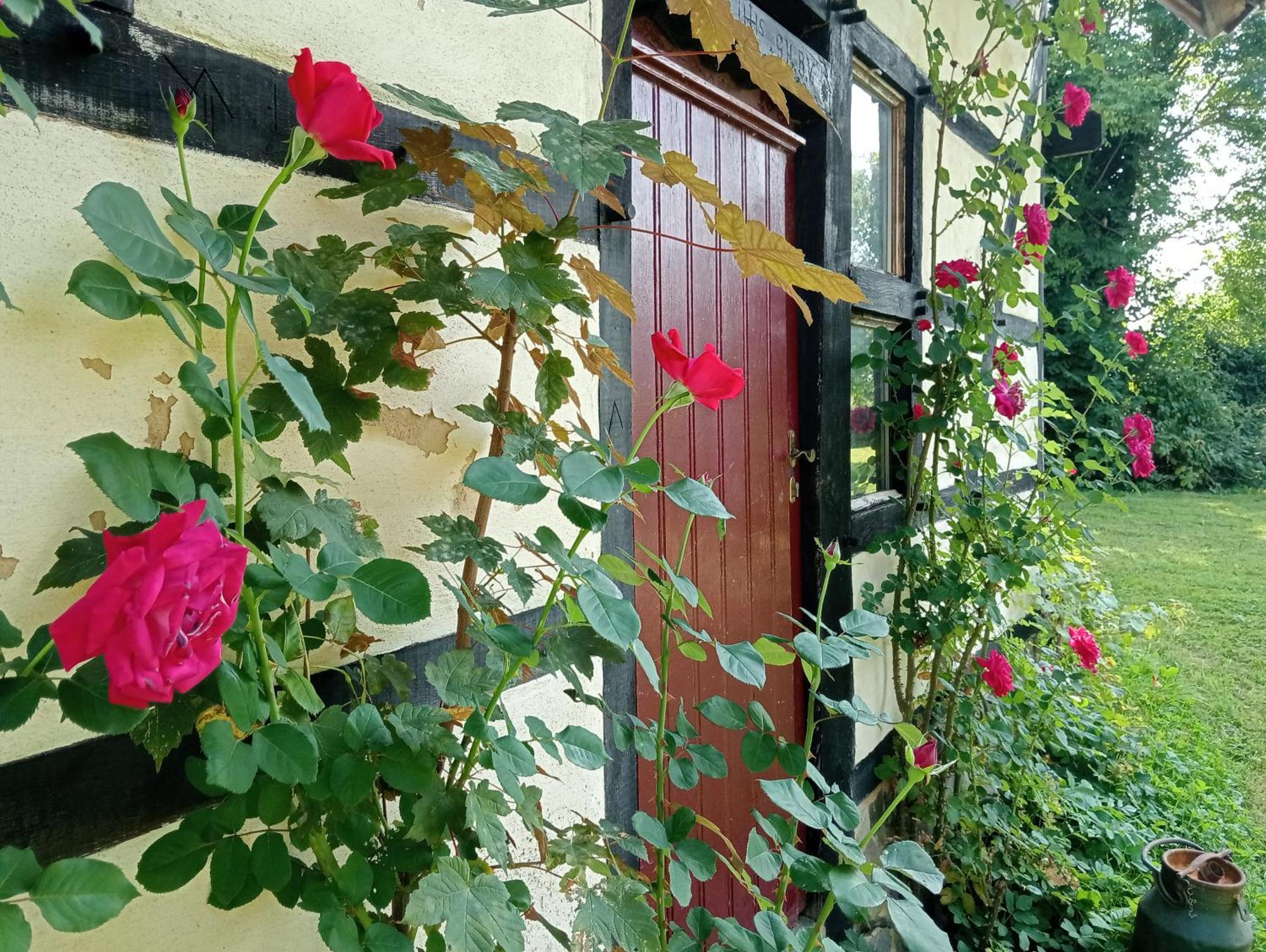 Bnb Het Geluk Van Limburg 메헬렌 외부 사진